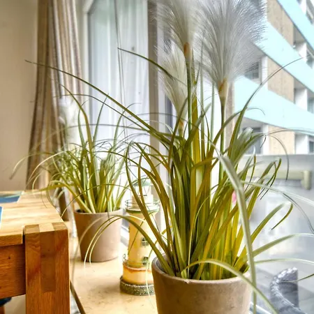 - Haus K, App 0k0501 شقة
